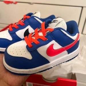 Nike Toddler Dunks Size 7C